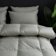 Antarctic quilt core home textile down feather quilt single four-season cover to keep warm spring and autumn bedding gray 150*200cm about 4.5 Jin [Jin equals 0.5 kg]