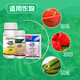 HEYi ethylpyrrolidone 25% plant tomato cucumber melon powdery mildew strawberry rose flower pesticide fungicide 20g