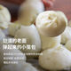 参情无限 老面小笼包 手工素包子馒头素食素斋黑松露荠菜松茸速食早餐 4种口味小笼包各1盒共24个 840g