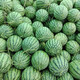 Zhongke Maohua melon and fruit seeds Zhongke Bingqilin watermelon seed improved 8424 Jingxin type replaces Meidu watermelon variety with crack resistance Zhongke Bingqilin 1000 capsules/box one acre package