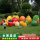 Aoyanlai Fiberglass Fruit and Vegetable Sculpture Ornaments Outdoor Garden Landscape Sketch Villa Farm Outdoor Decoration Cabbage Dingjin