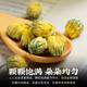 陈一凡 菊花茶250g 胎菊王优质胎菊可搭枸杞金银花煮水花草茶袋装 胎菊250g