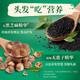夏士莲洗发水750g去屑滋养黑芝麻控油韧发养根养发二合一洗发露 黑亮去屑 750g 1瓶