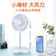 Home Guard (JIAWEISHI) Home Guard Wireless Retractable Electric Fan AM-2