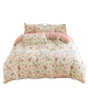 Arctic velvet cotton four-piece set 100 cotton four-season simple skin-friendly bedding sheets and quilt covers dormitory students three- and four-piece set Love Nest [cotton maternal and infant grade] 2.0 bed four-piece set [quilt cover 200*230cm]