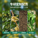 Shangyang Osmanthus special nutrient soil 15L gardening green plant vegetable soil flower soil potted planting soil organic soil