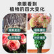 Siweibo Nutrient Soil for Planting Vegetables and Flowers Soil Universal Organic Flower Planting Soil Planting Soil Soil for Green Plants Potted Peat 40Jin Jin is equal to 0.5kg Special Nutrient Soil for Flowers Breathable and Loose
