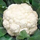 Broccoli seeds broccoli seeds pine cauliflower seeds cauliflower green cauliflower seeds four seasons vegetables original white pine cauliflower seeds 4 bags (about 1200