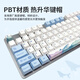 罗技（Logitech）K845机械键盘 游戏键盘 办公键盘有线全尺寸办公家用背光电竞吃鸡键盘 K845-青轴-鲸落