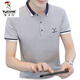 Camiseta de carpintería (Tucano) Tendencia de verano de la tendencia de verano de la solapa de la solapa de la solapa para hombres. Camisa Negocio Collar de algodón informal Ropa de manga corta Verde QY673 L
