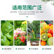 Urea fertilizer for growing vegetables, organic fertilizer, quick-acting nitrogen fertilizer, chemical fertilizer, general compound fertilizer for flowers, agricultural water-soluble fertilizer, crystal urea 20Jin Jin is equal to 0.5kg