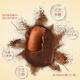 Lu Erniang Neujahrsgüter Geschenkbox Changbaum Bio Bio Ganoderma lucidum spore pulver Kopf Spore Pulver Neujahrsgeschenkschachtel für ältere Eltern gewöhnliche zwei Dosengeschenkbeutel insgesamt 500 g