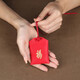 Jin Shi Ling Cinnabar Powder Pendant Amulet Peaceful Blessing Bag Dog Tooth Pig Bone Shocking Zodiac Year Men and Women Sachet Children Baby Gift