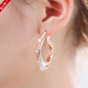 Idel Korean personalized large earrings hoop long style female European and American exaggerated temperament pendant ear jewelry simple earrings Valentine's Day birthday gift for wife and girlfriend prismatic personalized earrings E1057