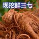 Notoginseng de panax frais Sélection du Yunnan Wenshan Panax notoginseng avec des racines Champs Freshs Wine Schec 250g 500g [Cinq ans Sélection de panax frais notoginseng] 4 Total 500g