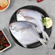 Fuhaijin Bohai silver pomfret 450g 3 pieces flat fish hot pot barbecue ingredients grilled fish seafood fish New Year gift