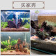 SLPC紫柚木精品45-60cm天然鱼缸造景沉木大号树桩晒龟台水族箱装饰木 14126秒沉