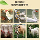 Fine rice bran farm rice bran fresh chicken duck goose feed rice bran natural rice husk fine rice bran feed rice bran 50Jin Jin is equal to 0.5 kg