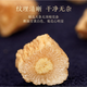Beijing Tongrentang Codonopsis pilosula yuanqi Cuatro tesoros tesoros 500g Dangsan Dangsan ke empapado en agua y convertido en sopa Astragalus Astragalus American Ginseng Ophiopogon japonicus Angelica Combinación [6 latas] Astragalus + Angelica + Codonopsis + Red Fecha + Longan + Wolfberry rojo rojo Rojo Rojo Rojo Rojo rojo