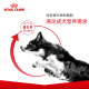 Royal Canin adult dog food dog food general dog type CC general food 12 months and above 8KG