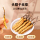 
Sejila Sejila Cordyceps Cordyceps Selection Quality Healthy and nourishing gift 4 sticks/g 10g pack