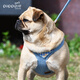 Puppytie Pet Products Dog Leash Small Dog Walking Leash Adjustable Dog Rope Teddy Cute Vest Harness Burning Sun Red - Set (Harness + Traction Rope) XS Code - Recommended 4-10 Jin Jin is equal to 0.5 kg