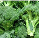 Broccoli seeds broccoli seeds loose cauliflower seeds cauliflower green cauliflower seeds four seasons vegetables original purple cauliflower seeds 2 bags (about 200 grains