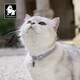 TRUELOVE cat collar bell collar necklace kitten and young cat engraved plate anti-lost pet neck accessories anti-strangle collar red S (neck circumference 20-25cm, width 1.3cm)