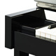 Deloy Beijing Zhujiang Piano DW118 vertical piano German accessories for children beginners' home professional grade