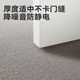Dajiang floor mat entrance door foot mat entrance floor mat wool carpet door entrance floor mat 75x110cm