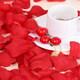 Happy Bird Wedding Supplies Simulated Rose Petals Wedding Room Decoration Proposal Confession Wedding Flowers Birthday Valentine's Day Red (1000 Pieces)