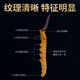 Guchengtang Authentique Cordyceps Dry Goods Dessons First Souchet Tibétain Tibétain Cordyceps Cordyceps séché 2 Racines / G 3 Racines / G 1 Ensemble de publication [3 Racines / G]
