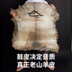 Cega手鼓非洲鼓丽江儿童初学演奏金贝鼓印尼整木掏空山羊皮成人学生鼓 标10红色彩绘+赠品