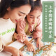 鳐鳐鱼（yaofish）桌游亲子家庭棋生日男女孩中小学生日礼物聚会玩具大宋百商图