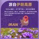 Yuan dachang azafrán 1 g/botella Irán azafrán importado Crocus filamentos rojos con té de flores para mujeres seleccionadas a mano