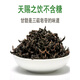 Beijing Tongrentang Qingqianliu Chinese medicinal materials wild flagship store Jinqianliuqingqianliu tea tender bud mulberry leaf tea substitute tea soaked in water [2 cans] Qingqianliu 500 grams in total