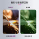 星工（XINGGONG）电焊面罩 自动变光焊工眼镜氩弧焊接头戴式焊帽 自动变光电焊面罩XGH-698