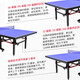 BOSENTE table tennis table household foldable mobile standard indoor competition table tennis table foldable without rollers indoor 12/30 net only