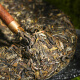 Sanyin Tea Iceland Pu'er Tea Raw Tea Yunnan 10 years old Chen Qizi Cake Tea Ancient Tree Tea Cake Pack 357g
