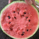 Zhongke Maohua Vegetable and Fruit Seeds Jinmeidu Watermelon Seeds Improved 8424 Kirin Melon High Purity Zhejiang Meidu Watermelon Seeds Jinmeidu 200 capsules/bag preferred