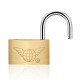 Fly.Globe copper padlock mini luggage small lock drawer lock cabinet lock 25mm