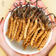 5 Wild Cordyceps sinensis auf Lei yunshang/g 15g etwa 75 Tibet Nagqu Cordyceps Geschenkbox Geschäftsgeschenk