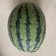 Zhongke Maohua Melon Fruit Seeds Zhongke Milong Sweet King Watermelon Seeds Large Fruit Type Big Red Flesh Single Melon 15-20 Jin Jin equals 0.5 kg Easy to grow Zhongke Milong 100g/box About 1600 seeds for seedling cultivation