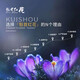 Zhenpin Island Zhenpdo [Blumen kaufen und die Bälle holen] Shanghai Chongming Specialty Safran, echter Safran, exklusive Stufe 10g