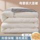 Classe de haricots rouges C courtepointe de fibre de soja antibactérien Printemps et courtepointe d'automne Quilt Quilt Cotton Couette épaissie Four Seasons Couette universelle Maison de maison Double bébé gris 1,5 * 2,0m Spring and Automne Cichet / Environ 4 Jin [Jin est égal à 0,5 kg]