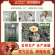 仙芝谷牌破壁灵芝孢子粉龙泉灵芝孢子粉增强免疫力 2克*30包
