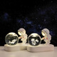 Fascini Astronaut Night Light Little Prince Crystal Ball Luminous Base Desktop Ornament Birthday Gift Beloved Astronaut-Little Prince Rose Gift Box