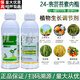 24 epibrassinolide foliar fertilizer relieves phytotoxicity and freezing damage, promotes root growth, preserves flowers and fruits, pesticide growth regulator 500g