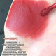 Colorey Matte Velvet Air Matte Matte Lip Gloss Humerizante Lipstick Snake Año Limited Gift Box Lipstick Birthday Regalo Valentín R695 Berry Wild Berry ligeramente borracho