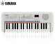 Yamaha (YAMAHA) PSS-E30 electronic keyboard, multi-functional portable sound teaching for beginners, Xiaobai Qin's birthday and Children's Day gift